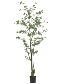 Kunstplant Tropaeolum vertakt groen 185cm