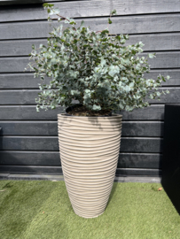 Pot zandkleurig D40