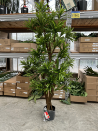 Kunstplant Pleomele Song of Jamaica