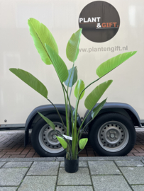 Kunstplant Strelitzia Nicolai 150