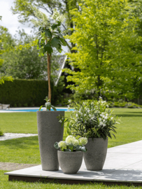 Cement & Stone Ben M Dioriet Grey