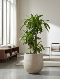 Bubble Ashen plantenpot