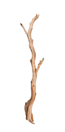Ghostwood sandblasted 100