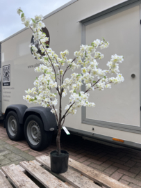 kunstbloesemboom medium wit 135cm