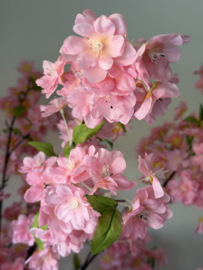 Kunst bloesemboom roze in pot Ben zwart