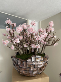 Oceana Bowl - kunstbloesem rose boom (prijs op aanvraag)