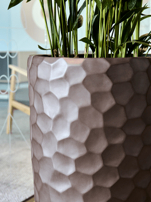 Baq Tortuga Partner plantenpot