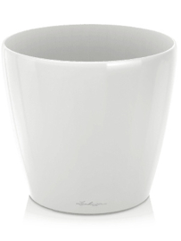 Lechuza white  D60