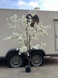 Kunstplant bloesemboom wit 210cm