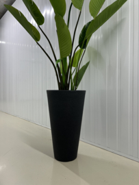 Zijde strelitzia compleet in pot antraciet