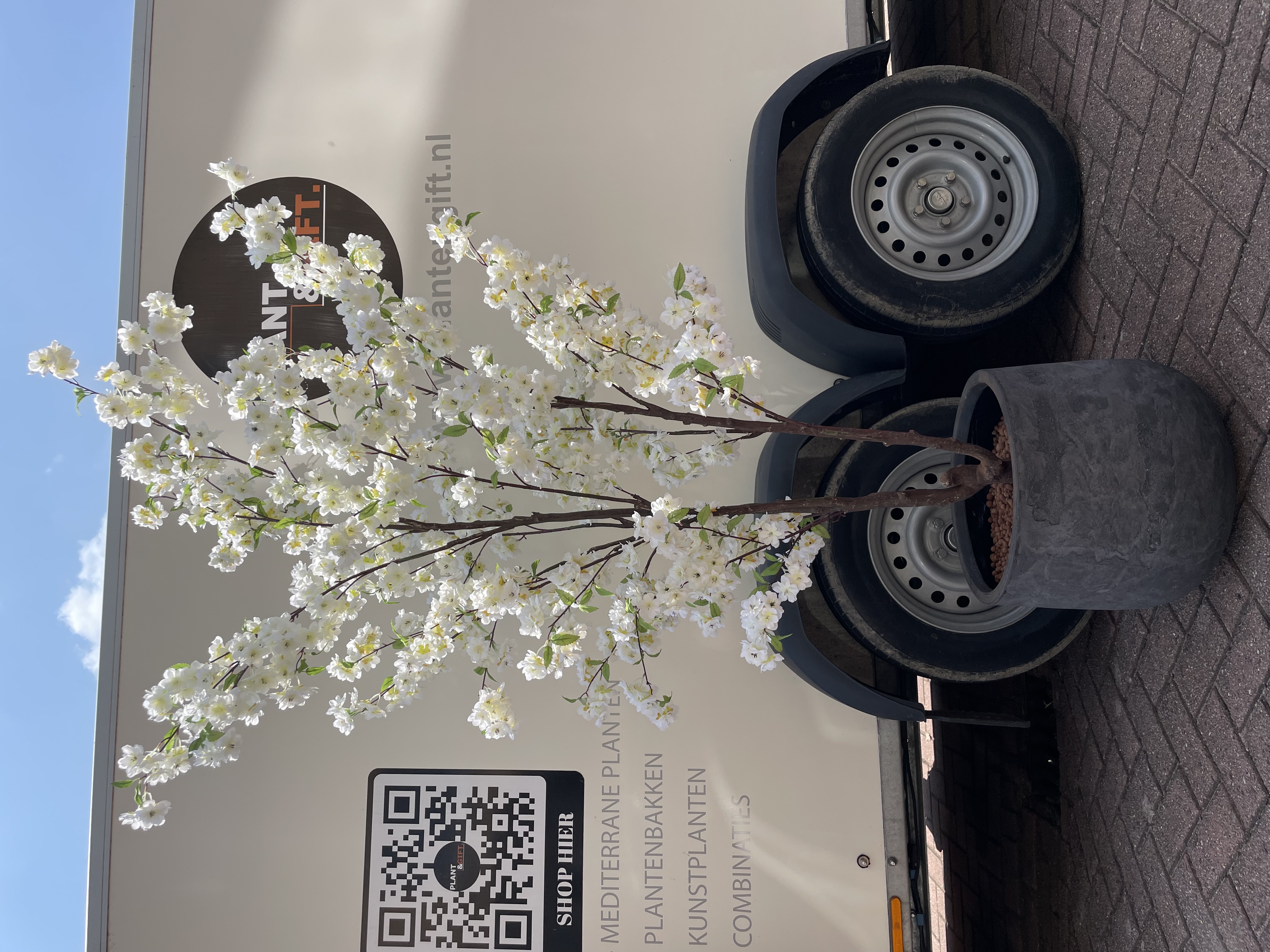 Baq Lava grey incl. kunstbloesemboom wit