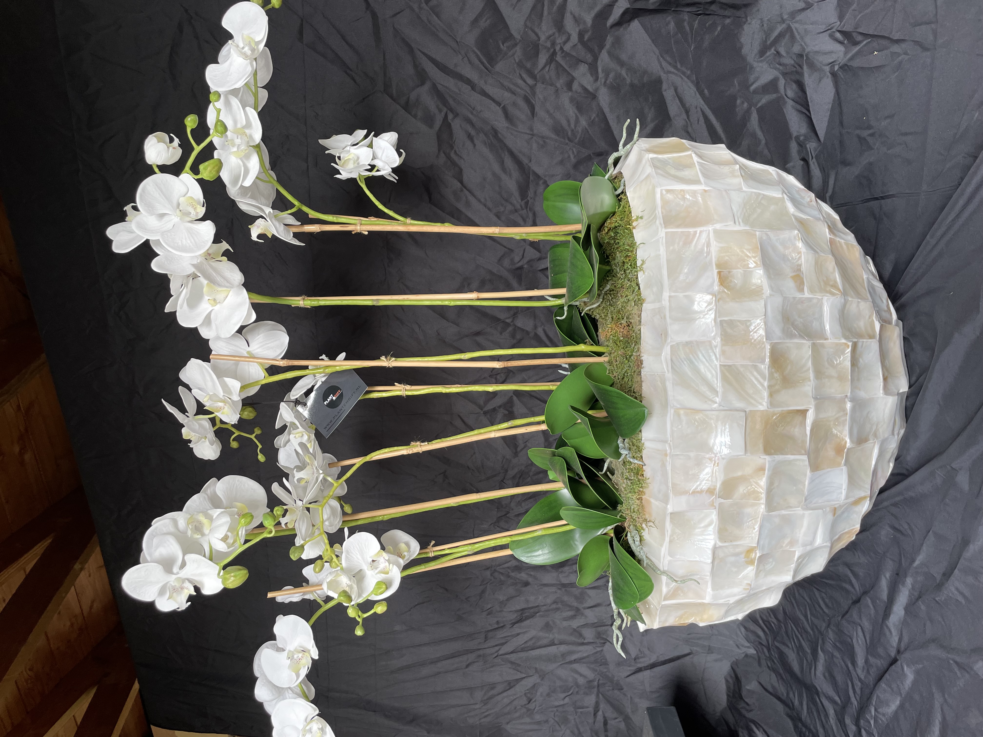 Oceana met kunst orchideeën witkleurig