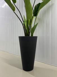 Zijde strelitzia compleet in pot antraciet
