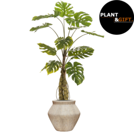 Kunst Monstera op Stam in Mineral Fleuri Plantenpot