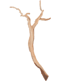 Ghostwood sandblasted - 180cm