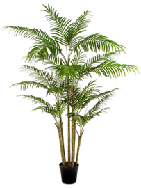 Kunstplant Bamboo palm XL