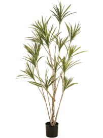 Kunstplant Dracaena kunstplant 180cm