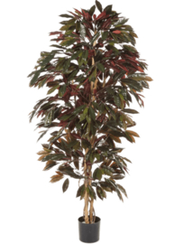 Kunstplant Capensia zijdeplant
