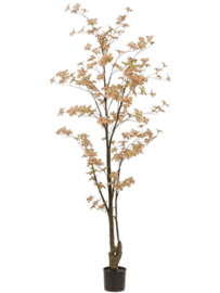 Kunstplant Tropaeolum vertakt perzik groen 185 cm