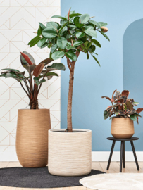 BAQ Dune cylinder (beige/green/brown)