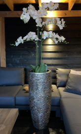 Wrinkle bronze x artificial (kunst) orchidee 4 tak