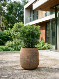 Darcy High Brown plantenpot