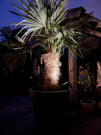 Solar verstelbare prikspot LED