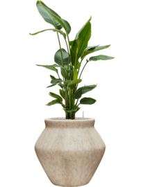 Mineral Fleuri Travertine beige