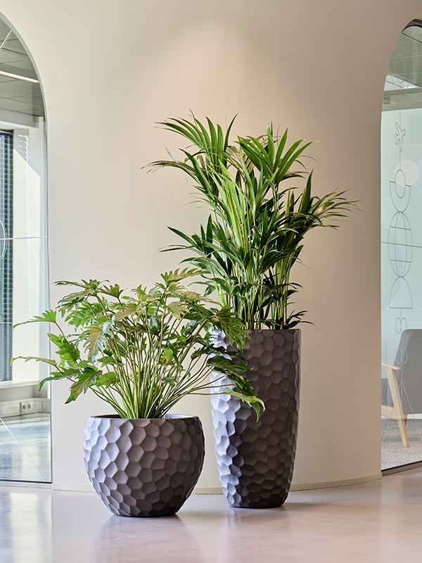 Baq Tortuga Couple plantenpot