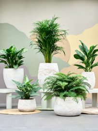 Ballon White plantenpot