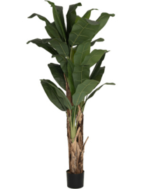 Kunstplant bananenplant