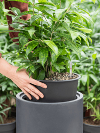 Basic Cylinder Dark Grey