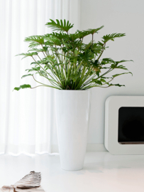 Fiberstone Dax L Glossy white vaas 