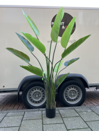Kunstplant Strelitzia Nicolai - 180 cm
