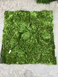Moss mat Sphagnum