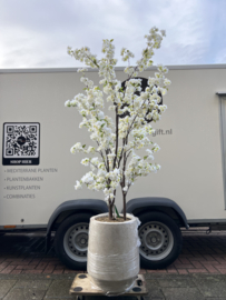 Kunst Bloesemboom in stijlvolle Mineral Harrith pot beige