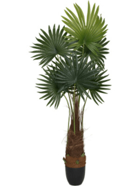 Kunstplant palmboom vertakt 