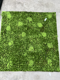 Moss mat Hypnum