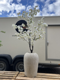 Kunstbloesemboom wit in Lena pot beige (Medium)