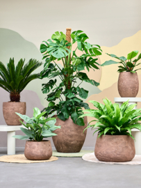 Algar Darcy Low Brown plantenpot