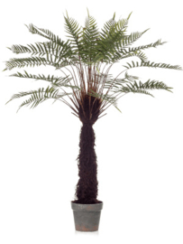 kunstplant Fern Dicksonia Toef