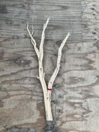 Ghostwood sandblasted 125