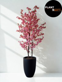 Ben L Black bloempot – Fiberstone