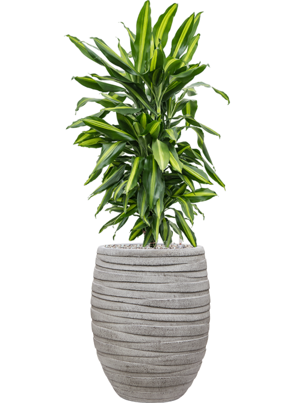Baq Tornado plantenpot