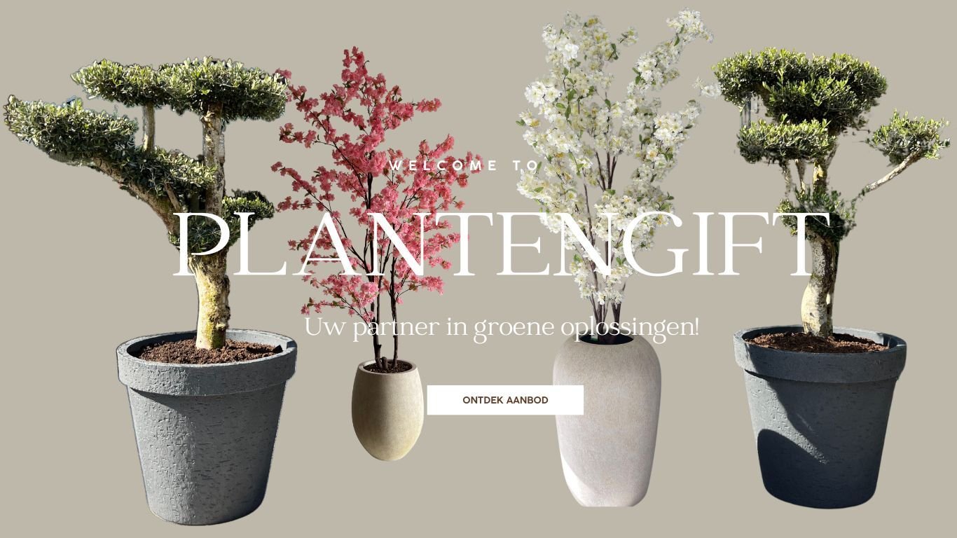 Ontdek plantengift.nl