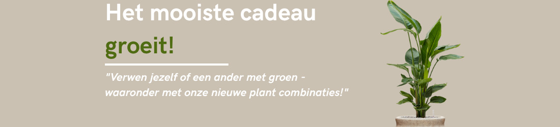 Plantengift.nl