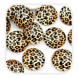 Cabochons 12 mm - leopard gold - per stuk
