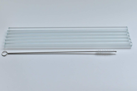 Set 6 glazen rietjes 27 cm + 1 reinigingsborstel