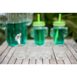 Shotglaasje cactus van Aulica, set van 6