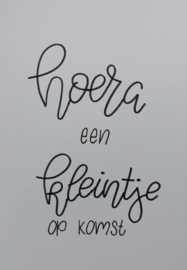 Kleintje op komst